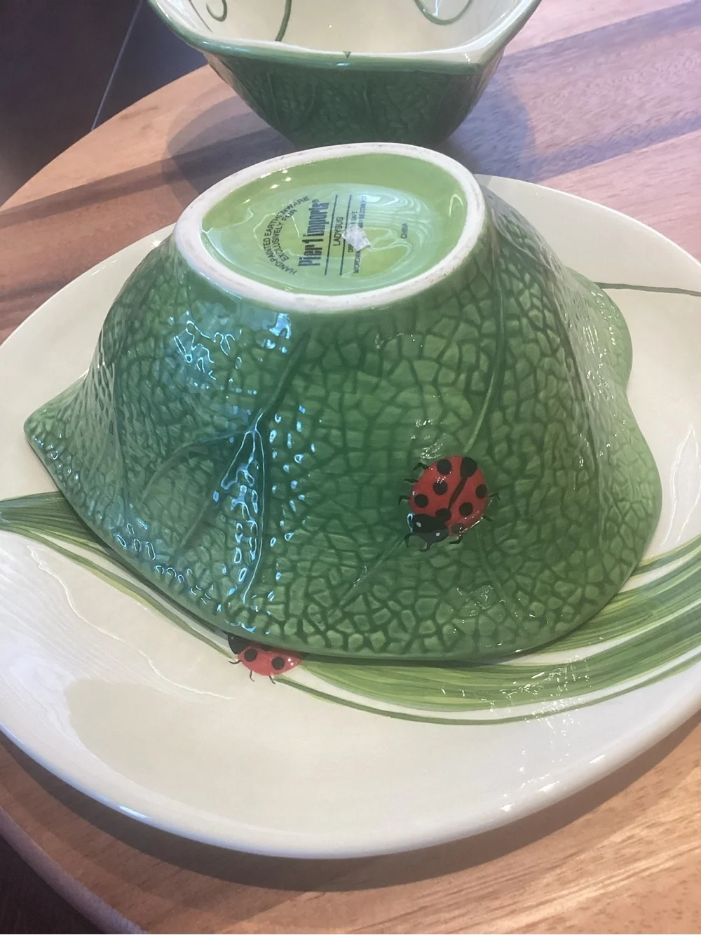 Pier 1 ladybug Salad Plate & bowls (2) set like new Heart Shaped Botanical